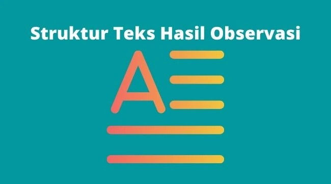 struktur teks hasil observasi