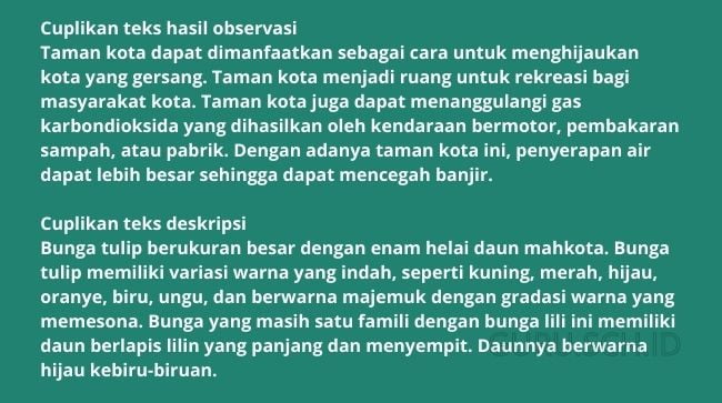 contoh soal teks laporan hasil observasi dan pembahasannya