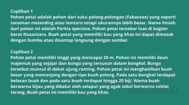 Contoh Soal Teks Laporan Hasil Observasi dan Pembahasannya | GURU.SCH.ID