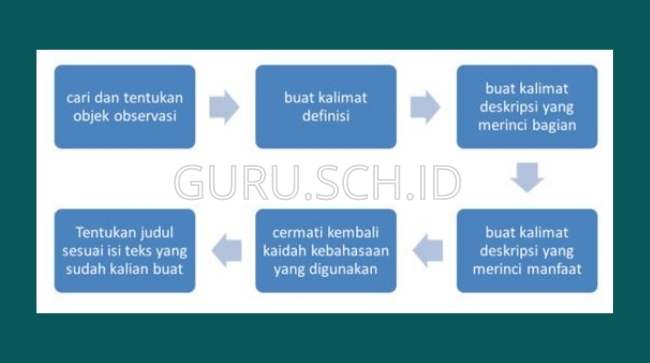 langkah-langkah menulis teks hasil observasi