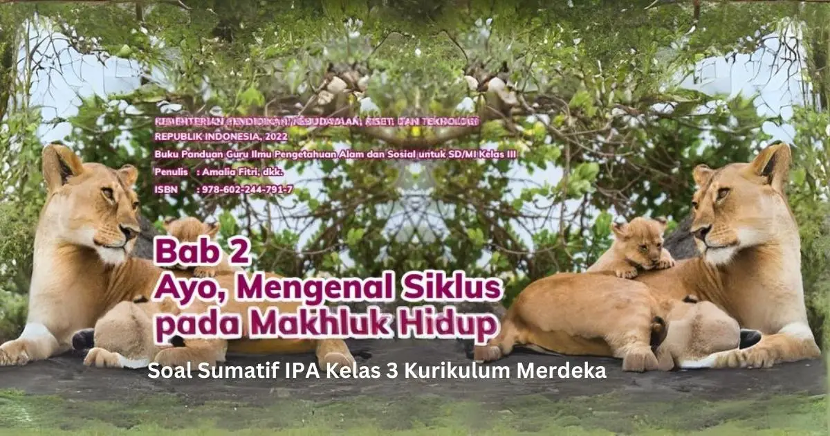 Soal Sumatif IPAS Kelas 3 Bab 2 Kurikulum Merdeka